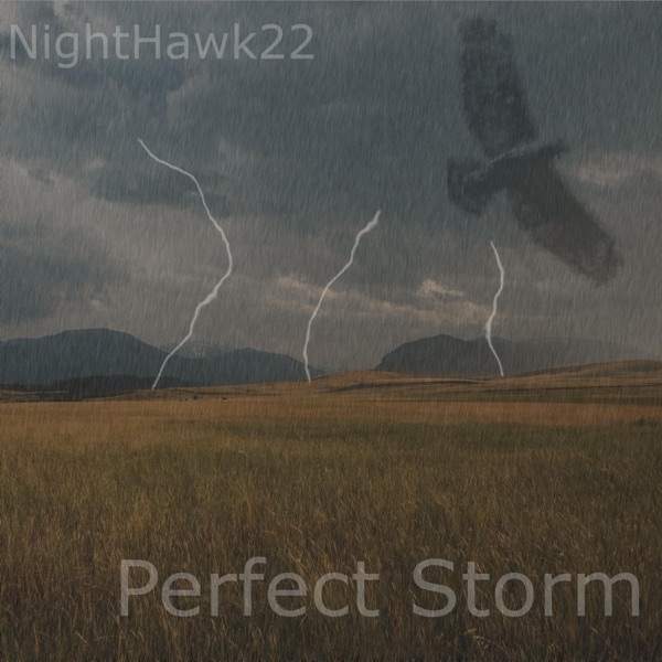 Perfect Storm - Single album cover