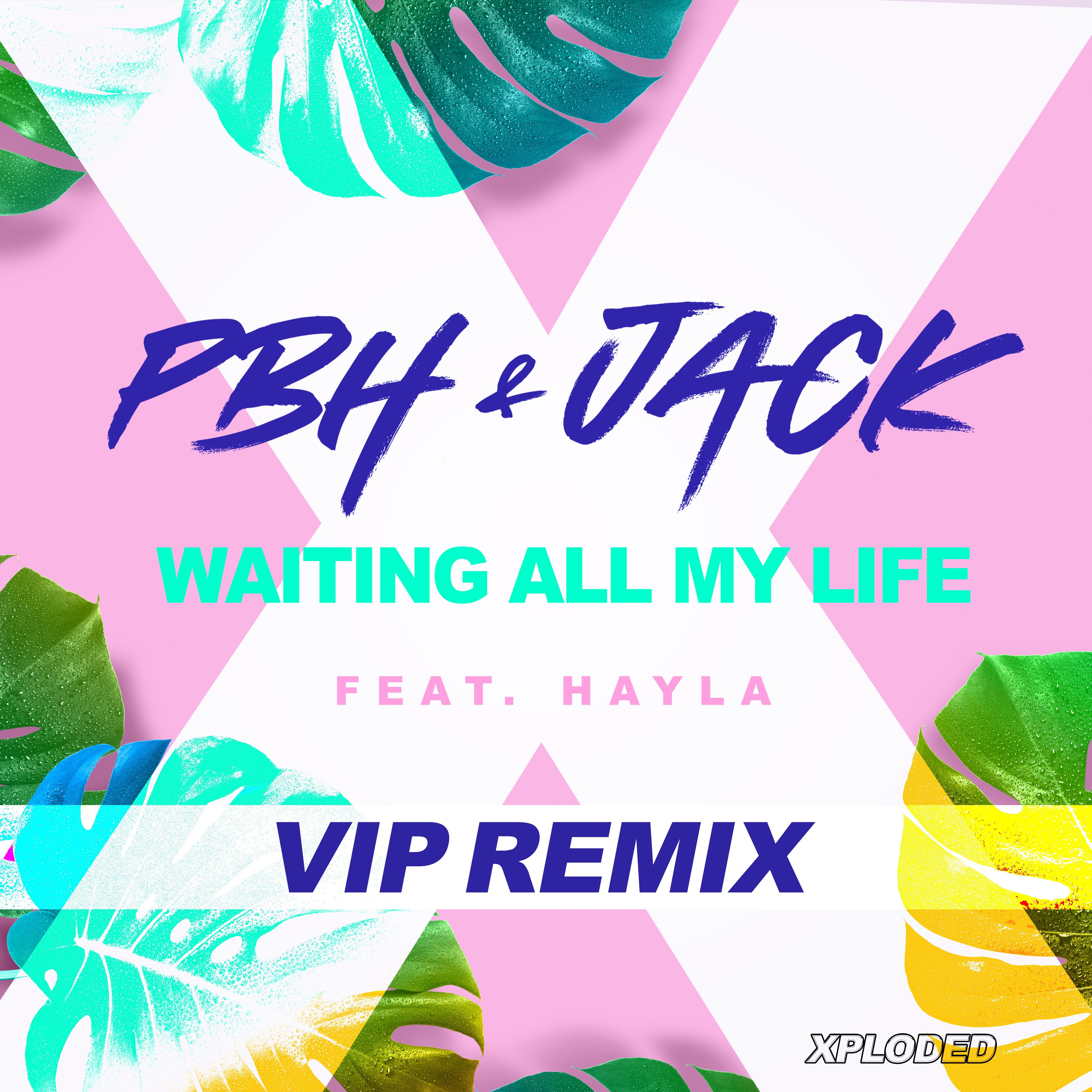Waiting All My Life (PBH & Jack VIP Remix) - Single album cover