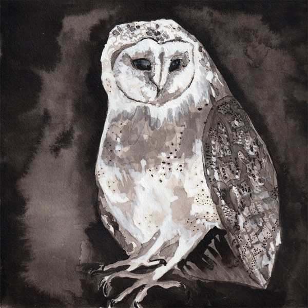 Owl Song - Single album cover