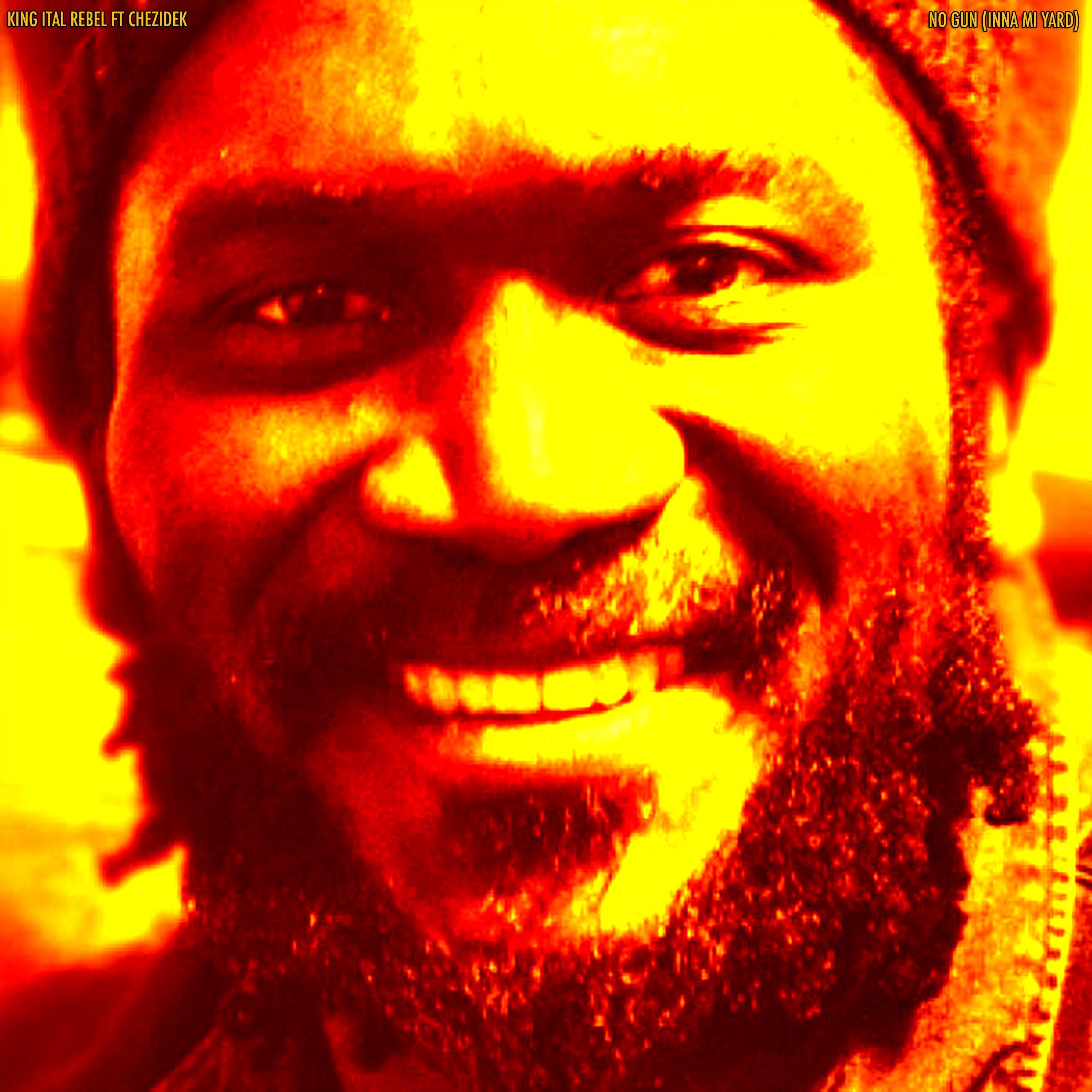 No Gun (Inna Mi Yard) [feat. Chezidek] [Feldub Remix] - Single album cover