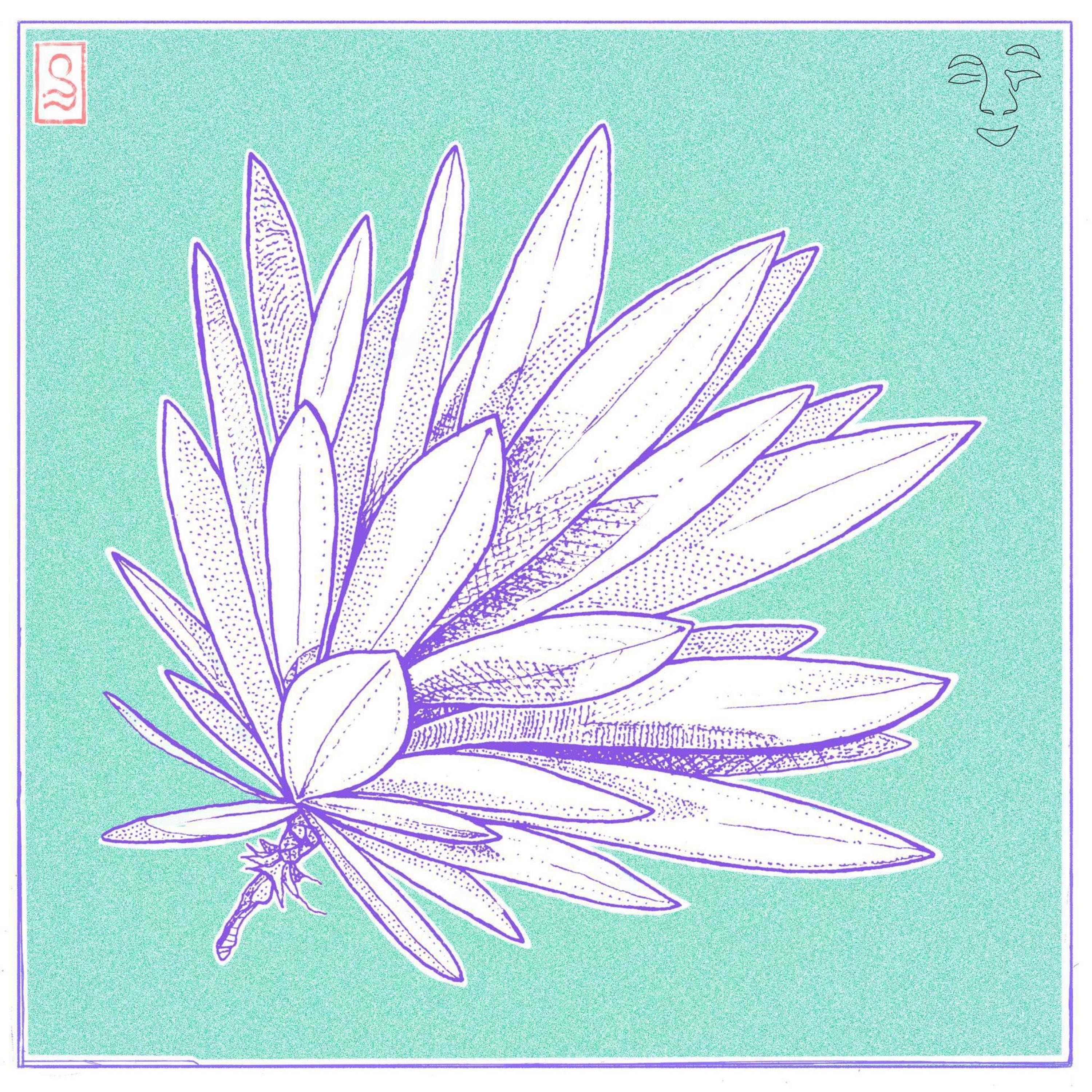 Verdant - Single album cover