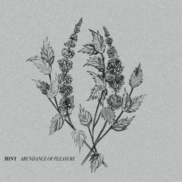 Abundance of Pleasure - Single album cover