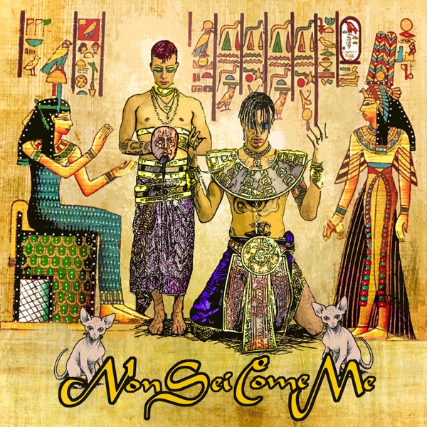 Non sei come me - Single album cover