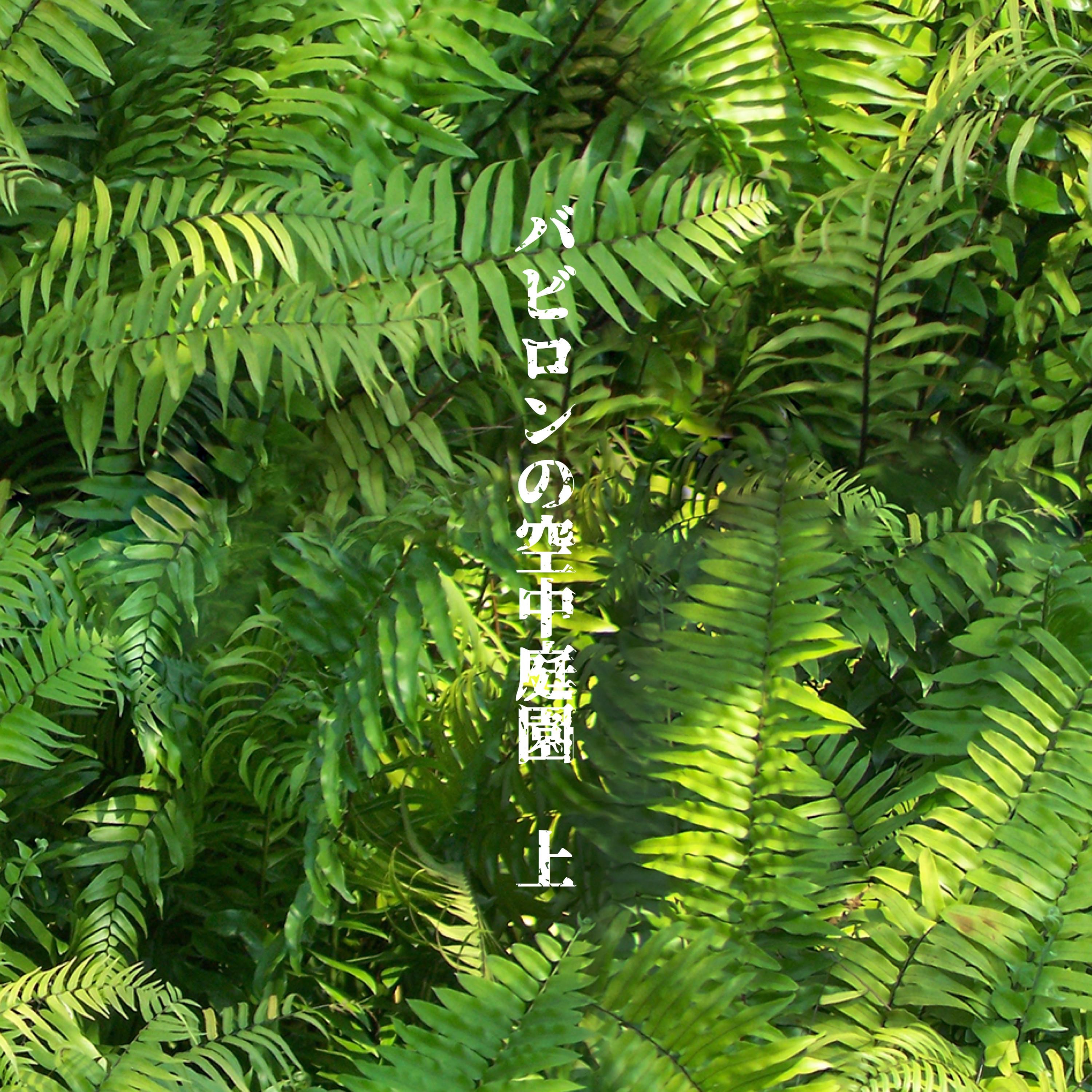 バビロンの空中庭園 上 album cover
