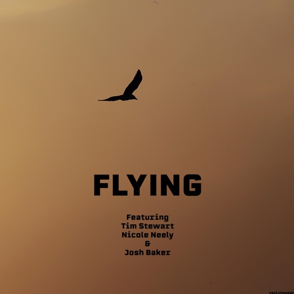 Flying (feat. Tim Stewart, Nicole Neely & Josh Baker) - Single album cover