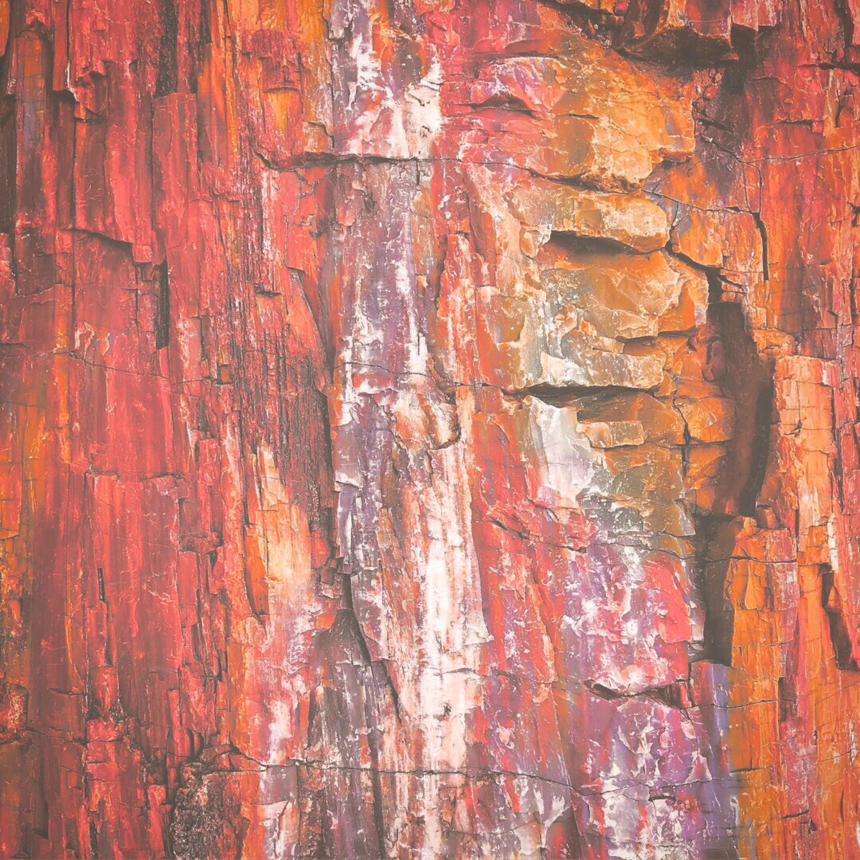 Root (feat. Jeff Parker, Steven Lugerner, Michael Blasky, David Piltch & Tamir Barzilay) - Single album cover