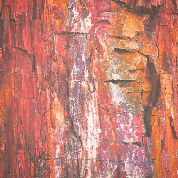 Root (feat. Jeff Parker, Steven Lugerner, Michael Blasky, David Piltch & Tamir Barzilay) - Single album cover