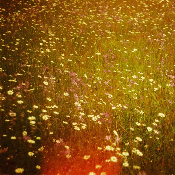 Neon Night - EP album cover