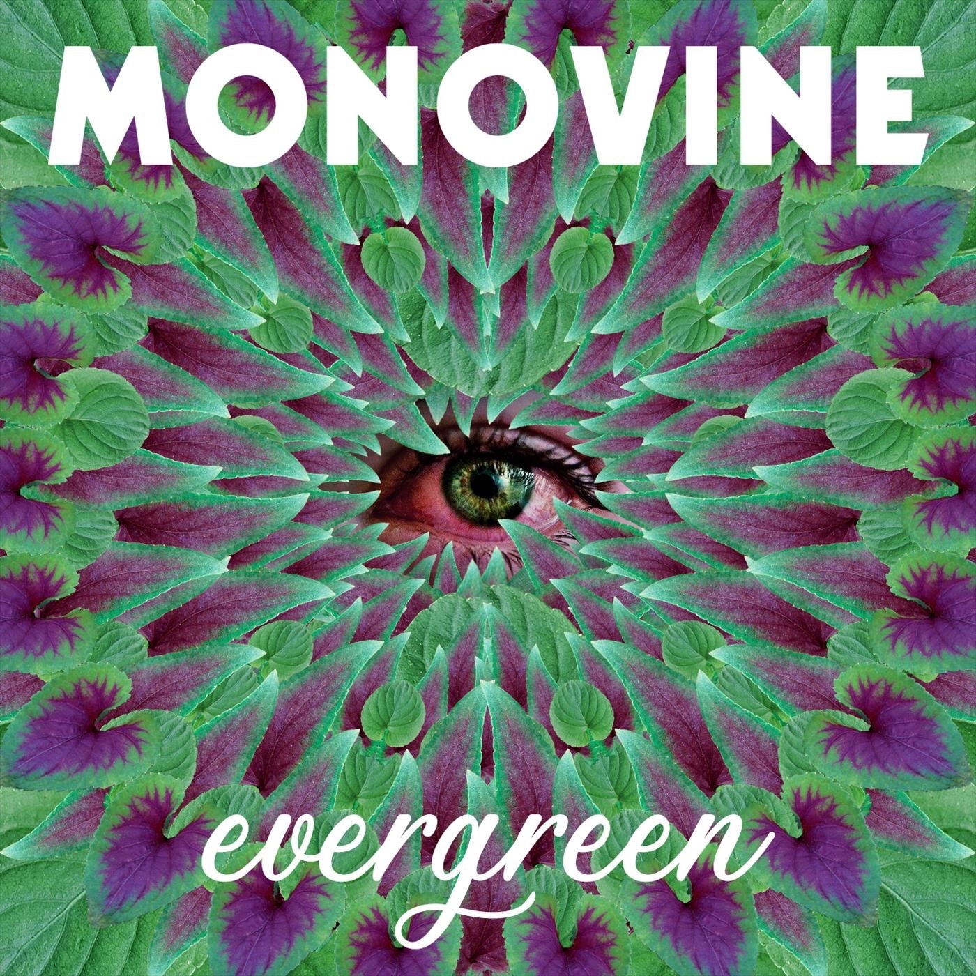 Evergreen - Single album cover