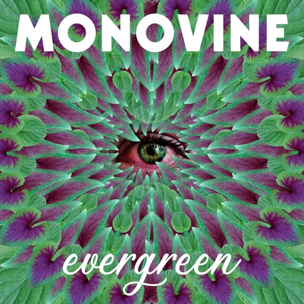 Evergreen - Single album cover