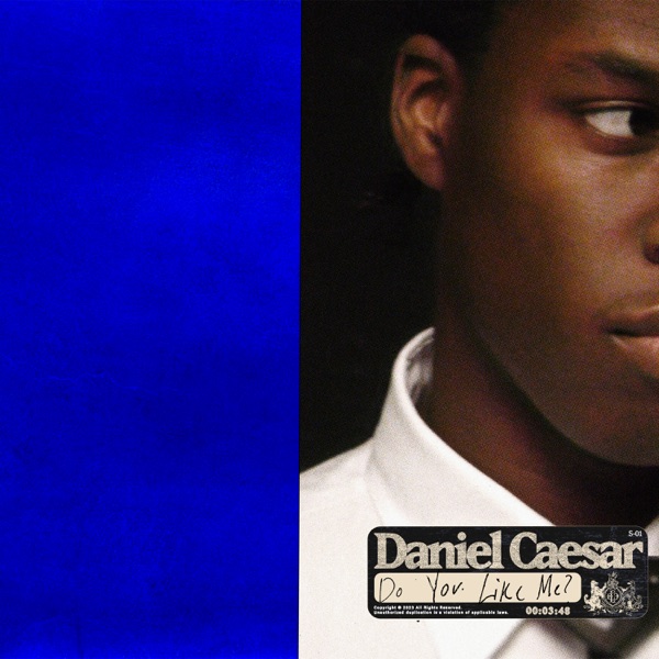 Do You Like Me? - Single album cover