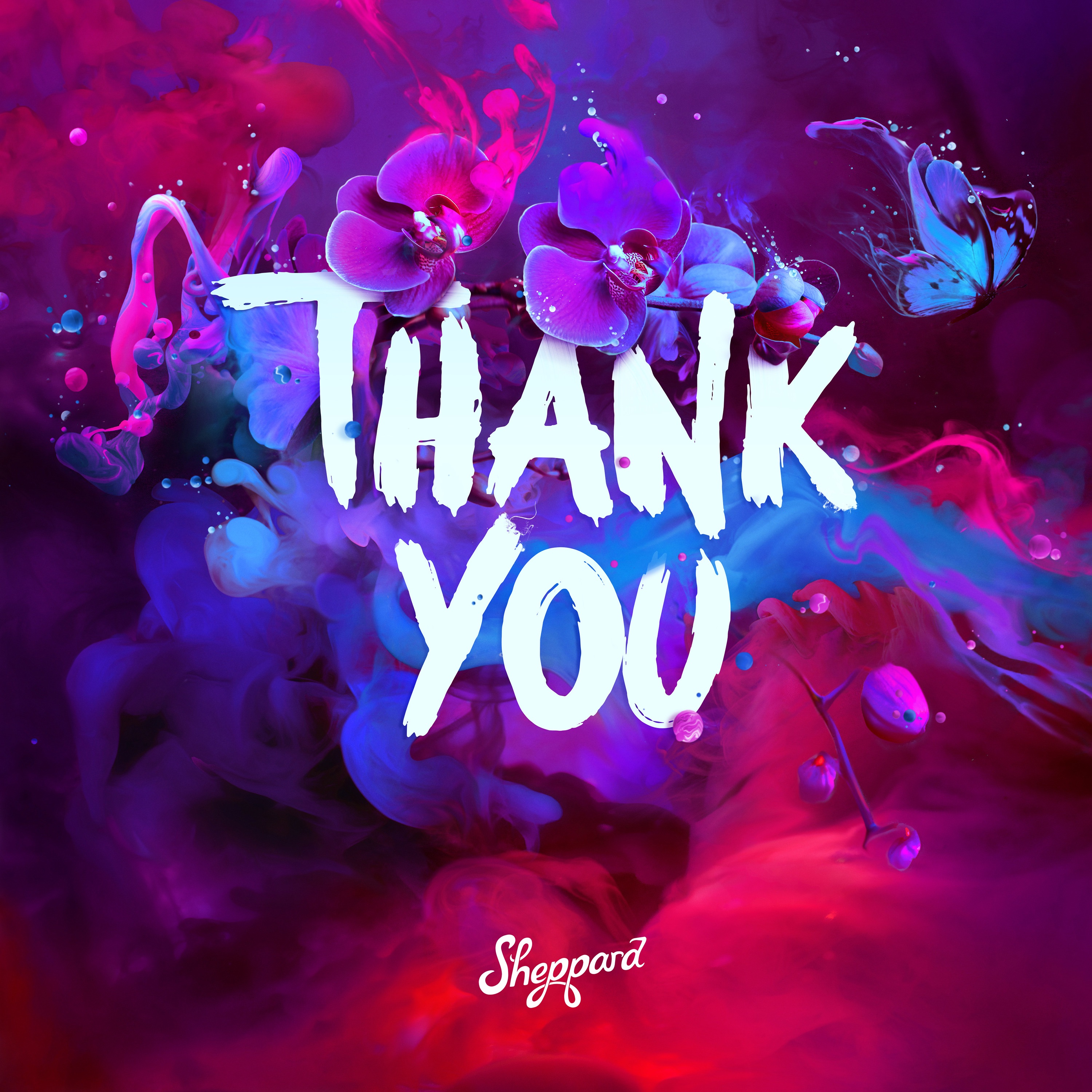 Thank You - Single album cover