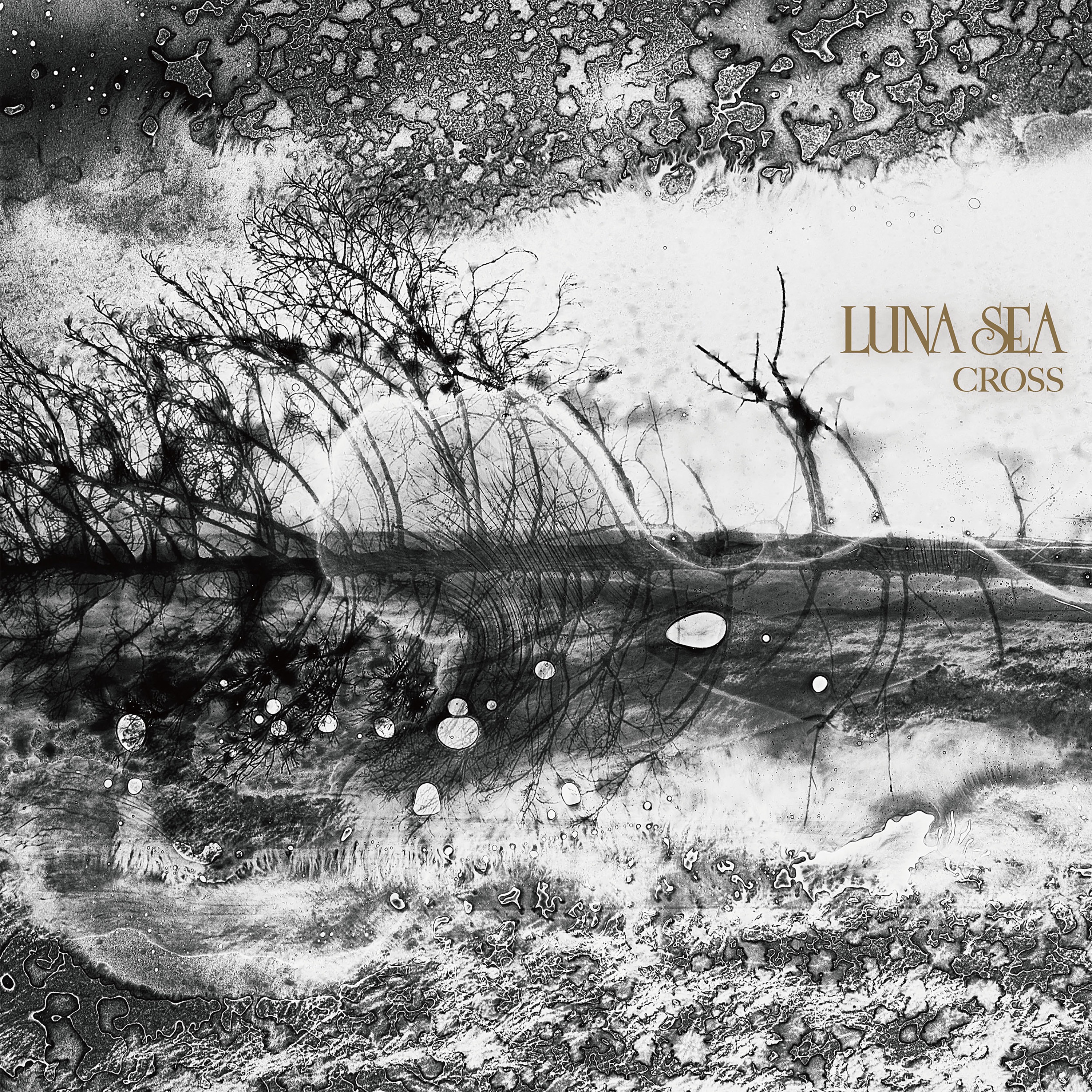 Cross album cover