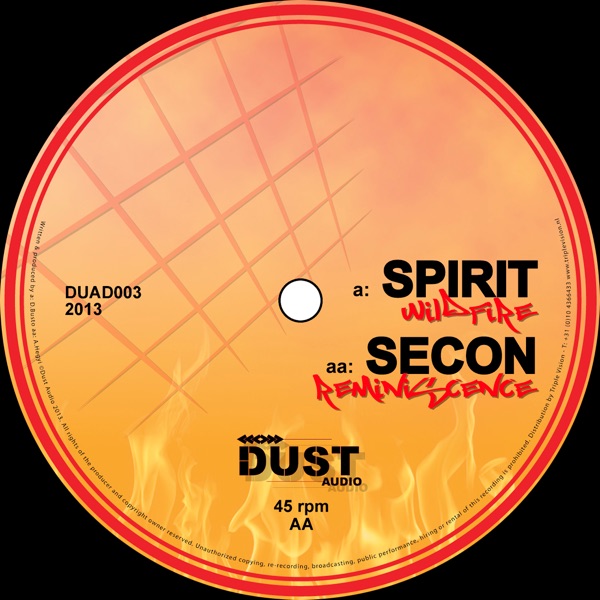 Wildfire / Reminiscence - Single album cover