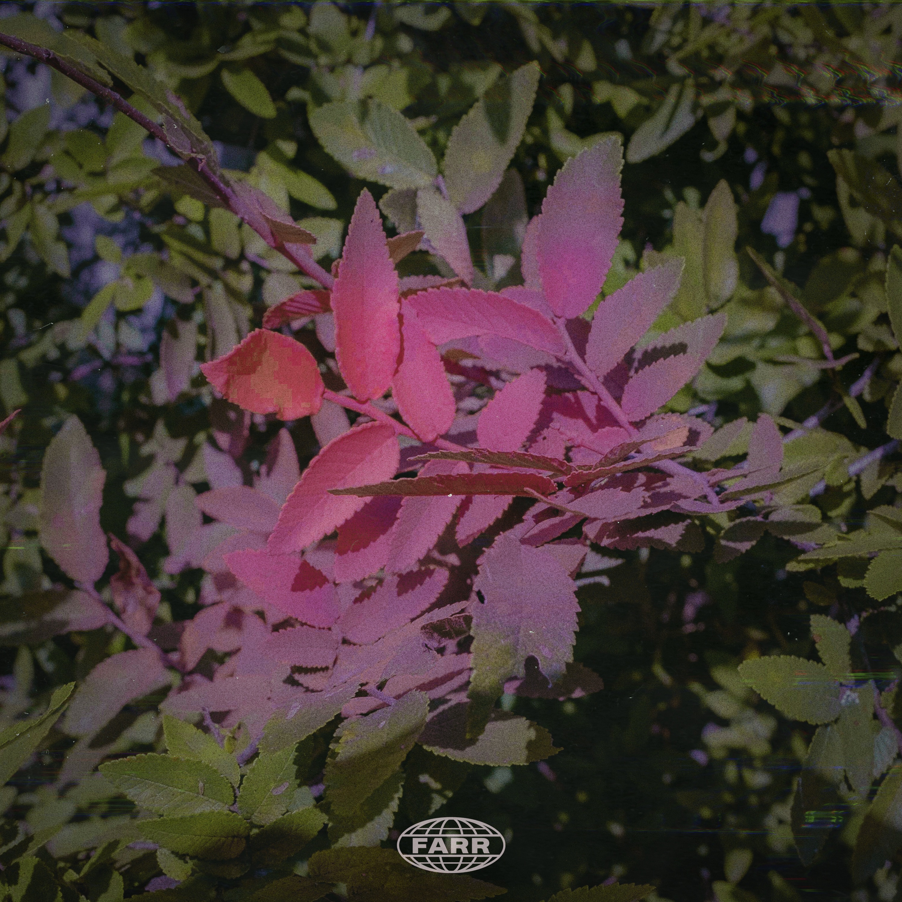 Technicolour - Single album cover