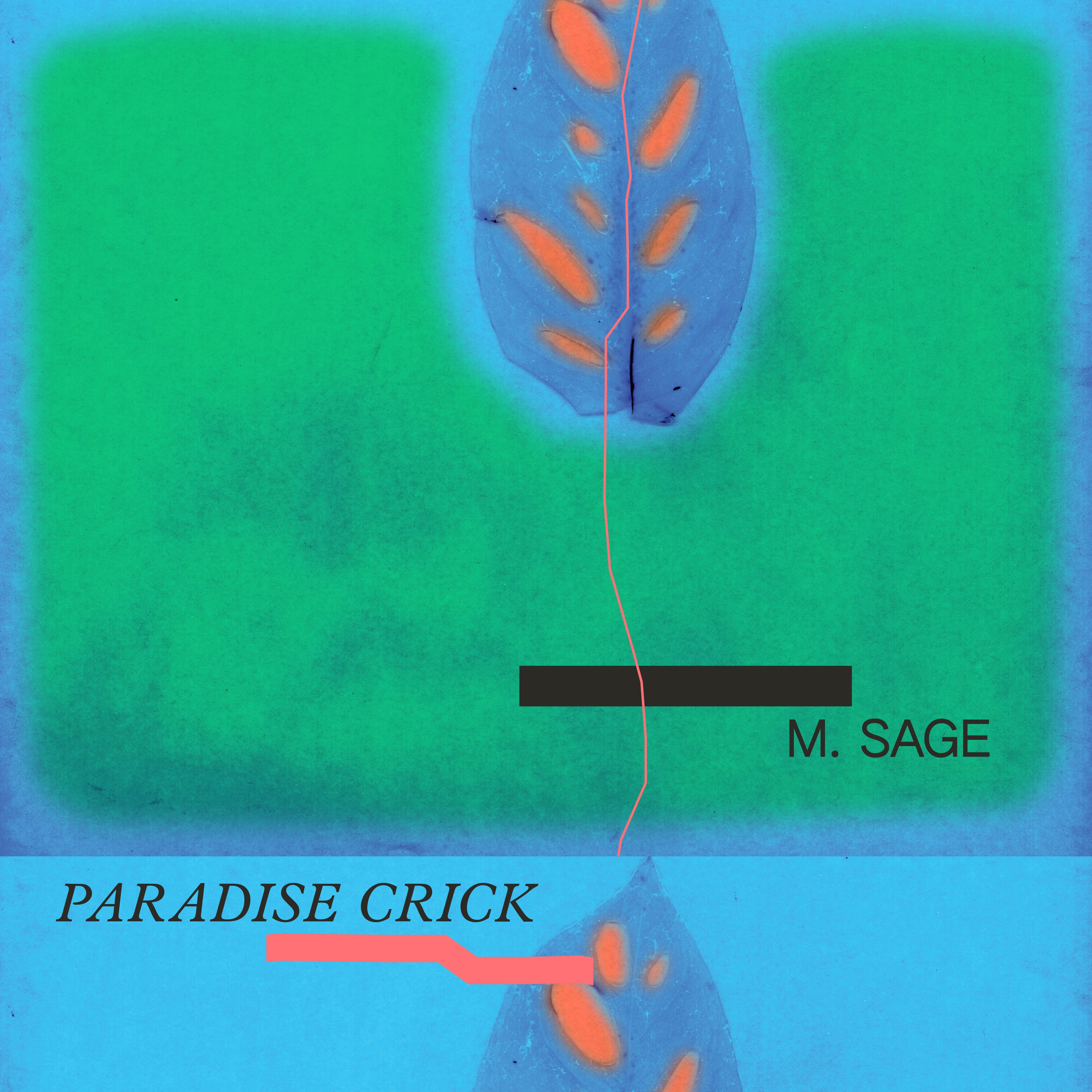 Paradise Crick album cover