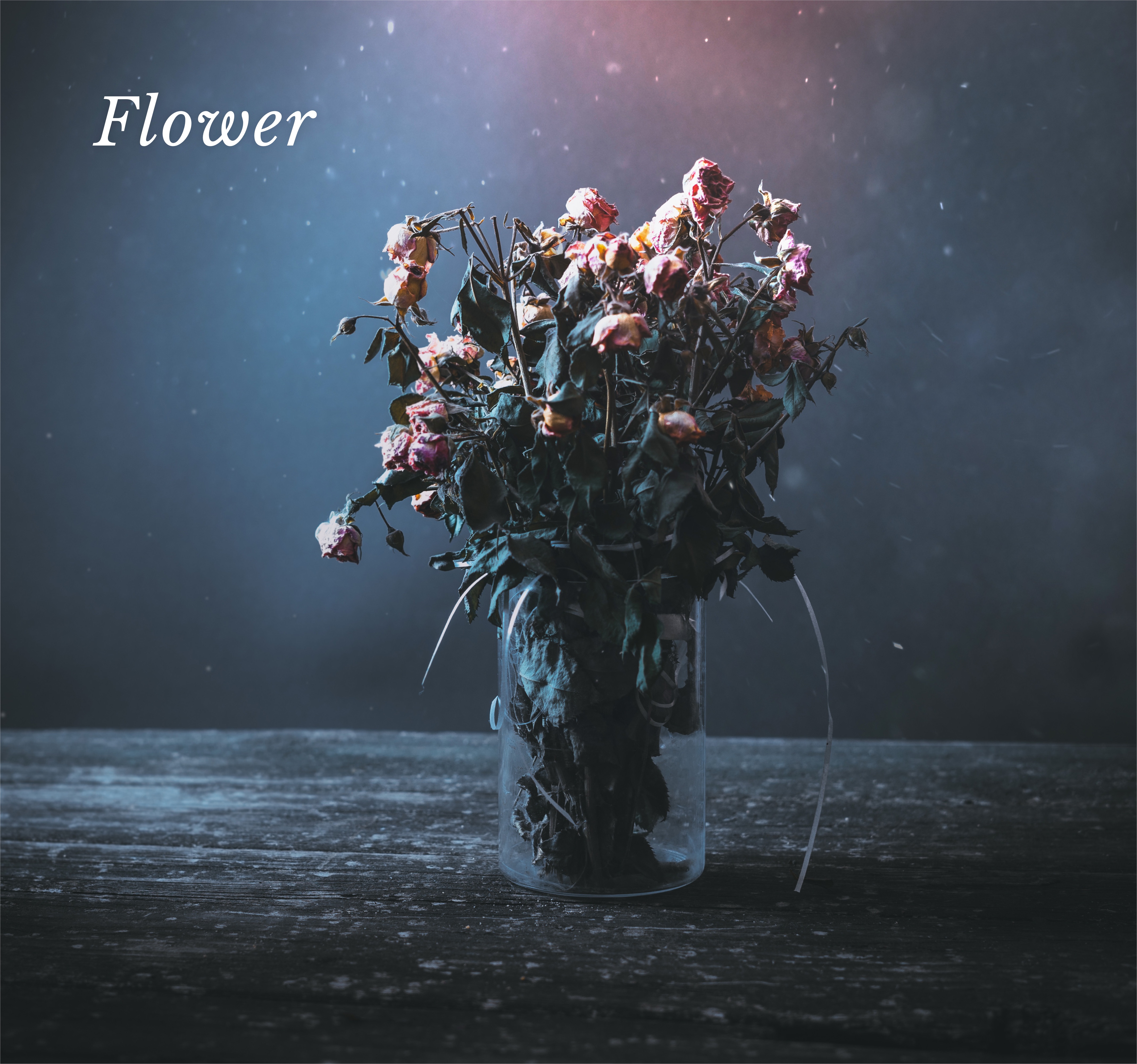 Flower ドライフラワーに囲まれる癒し系お花のジャズカフェ album cover