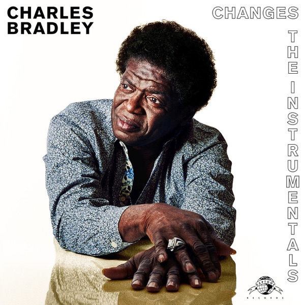 Changes: The Instrumentals album cover