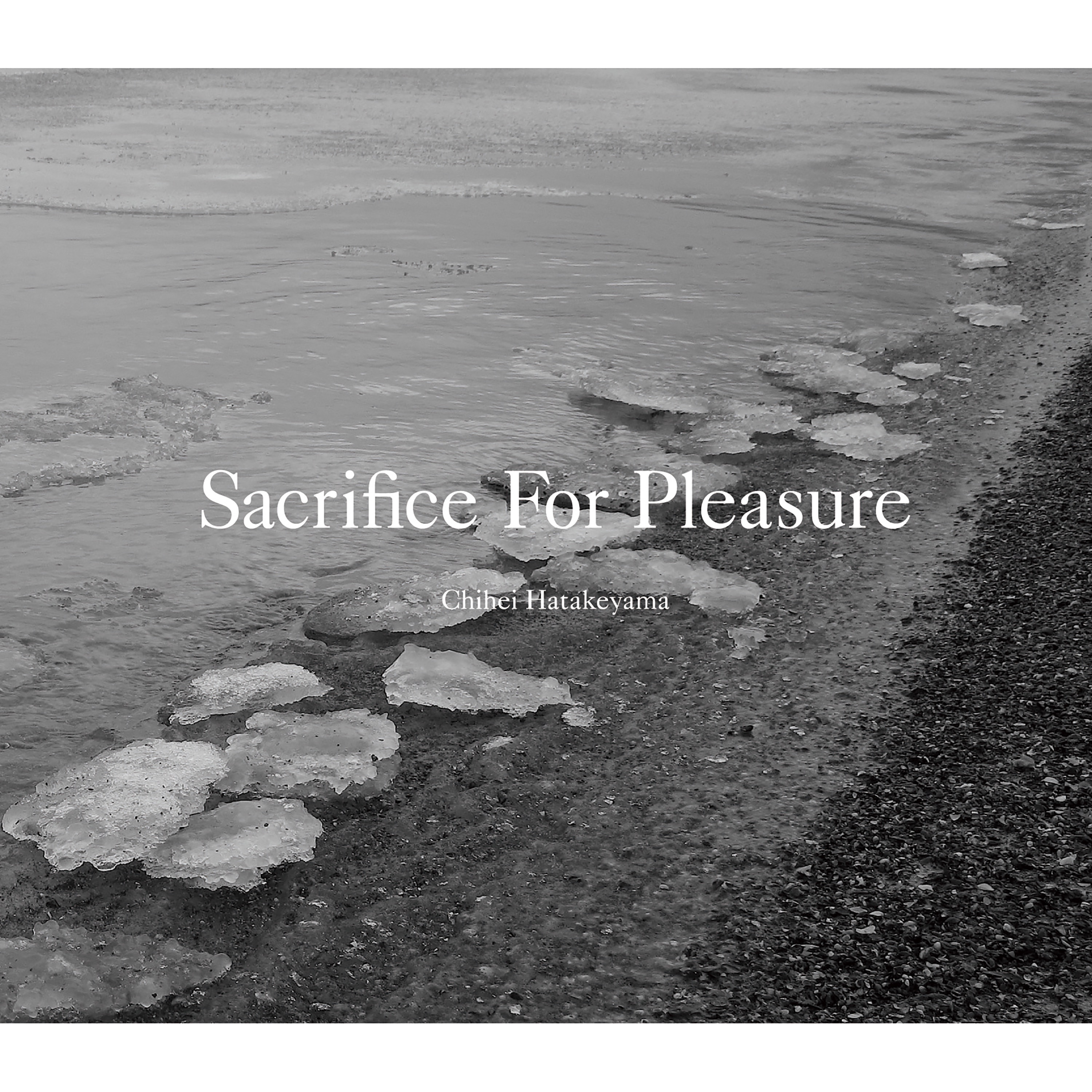 Sacrifice For Pleasure album cover