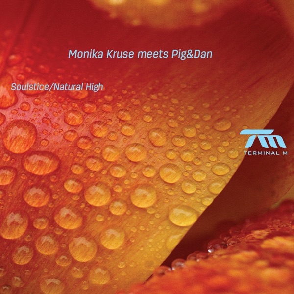 Soulstice / Natural High - Single album cover