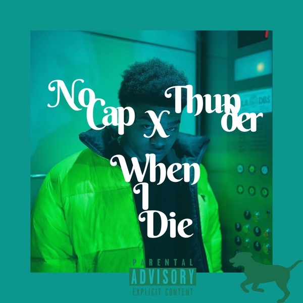 When I Die - Single album cover
