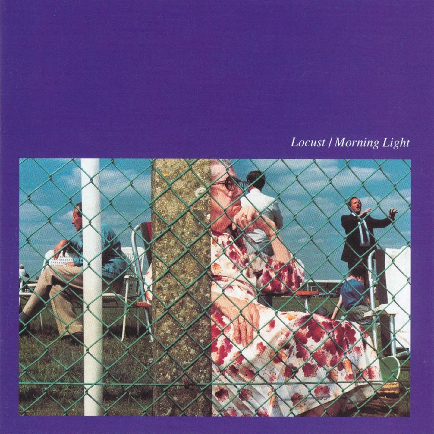 Morning Light album cover