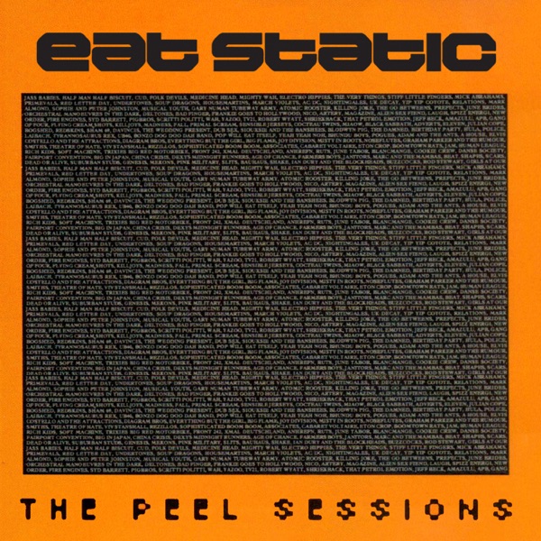 The Peel Sessions album cover