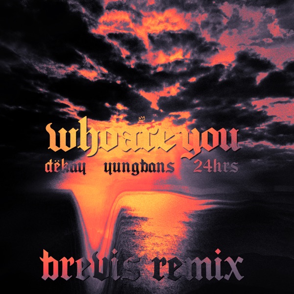 Who Are You (Brevis Remix) [feat. 24hrs & Yung Bans] - Single album cover