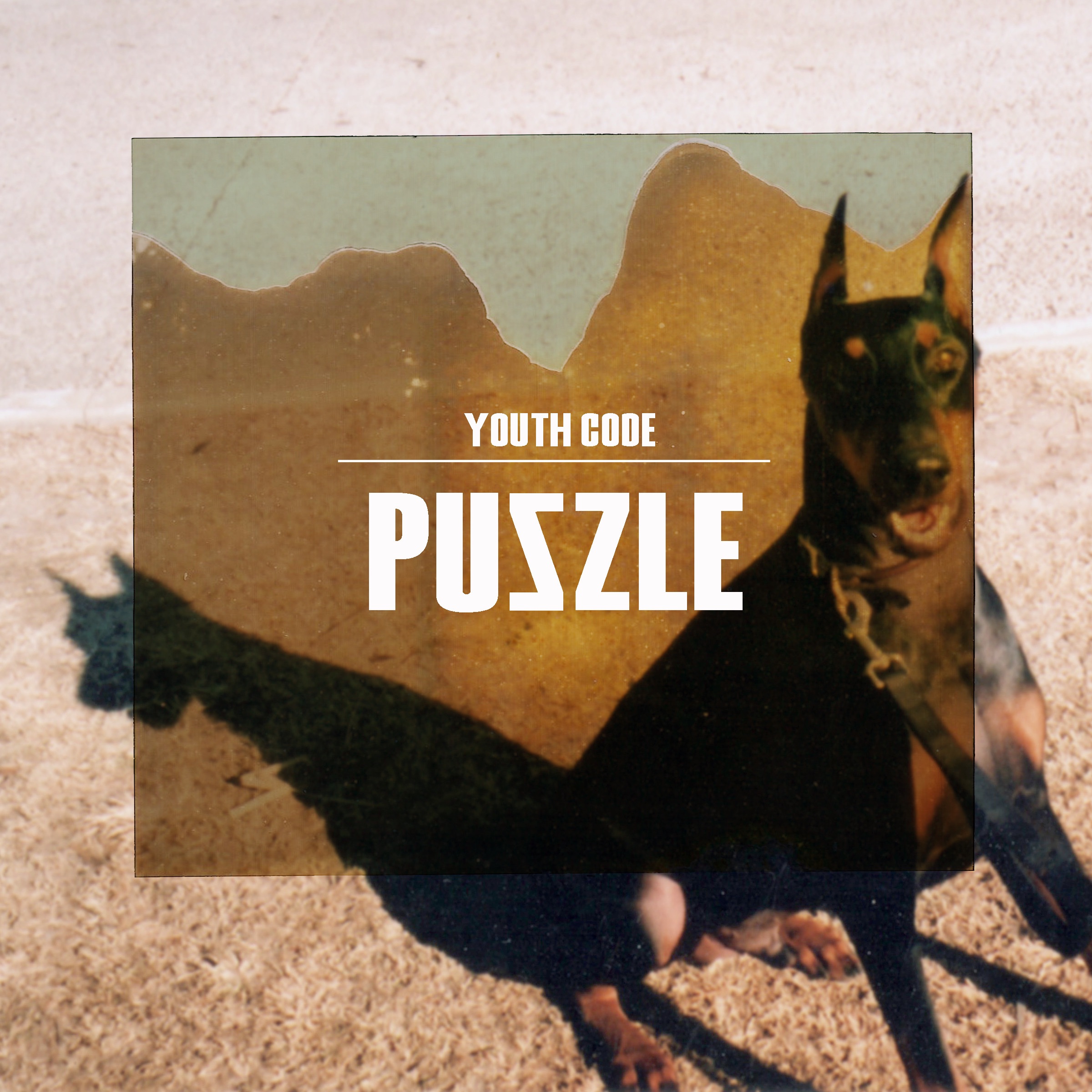 Puzzle - Single album cover