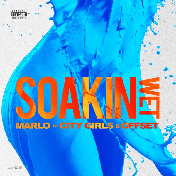 Soakin Wet (feat. City Girls & Offset) - Single album cover