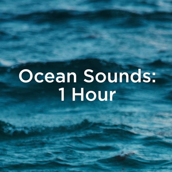 Ocean Sounds 1 Hour album cover