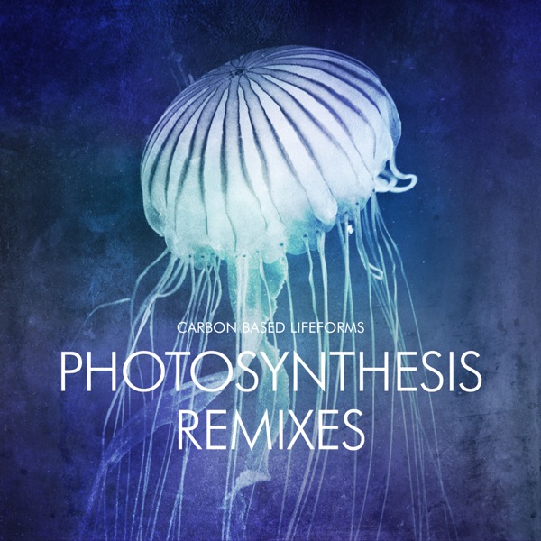 Photosynthesis (Remixes) album cover