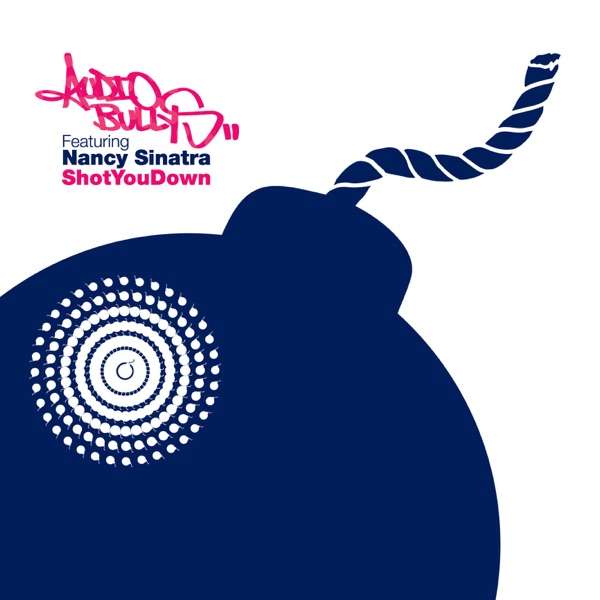 Shot You Down (Lee Cabrera 'Lower East Side' Mix) - Single album cover