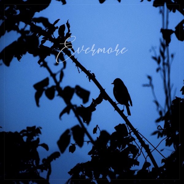 Evermore - Single album cover