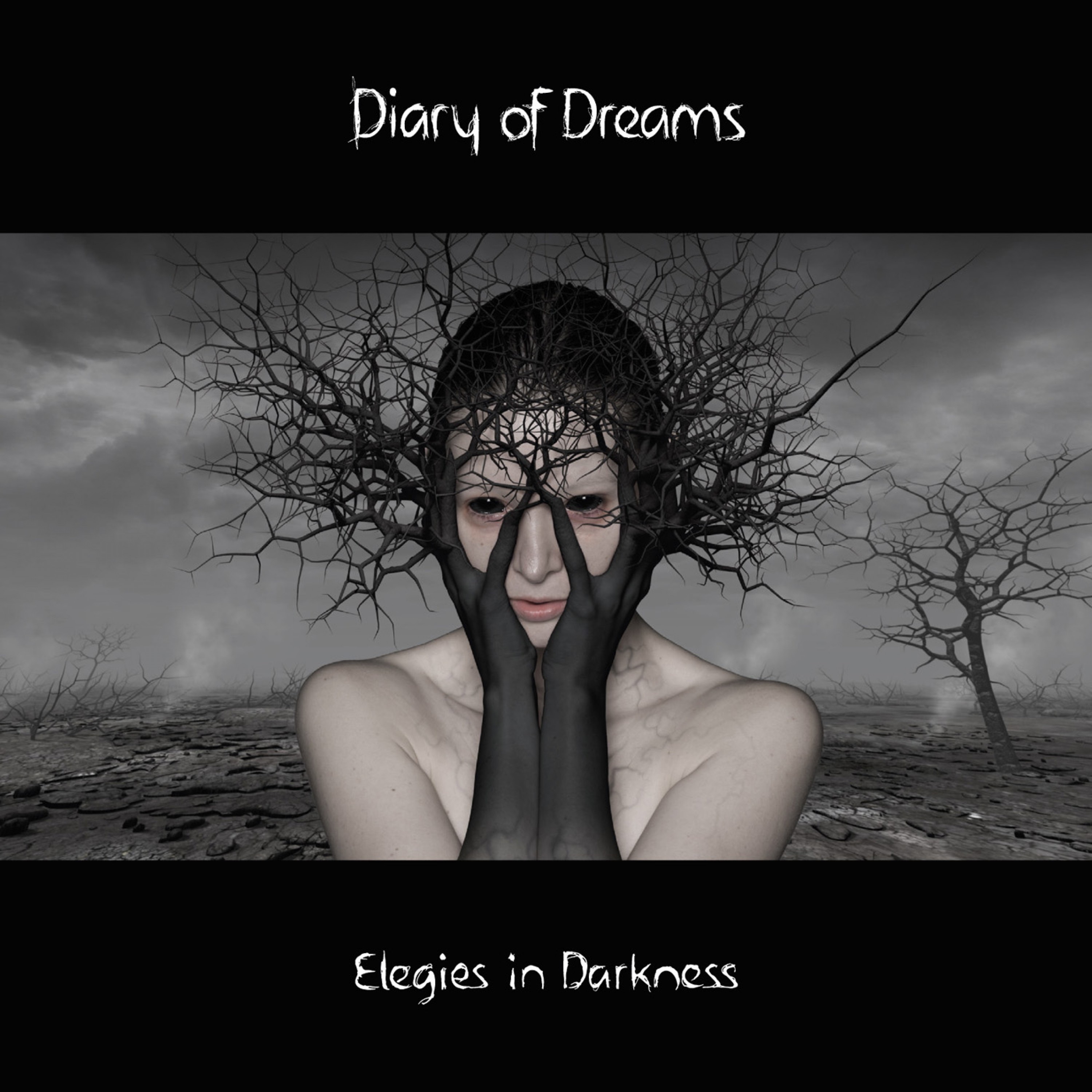 Elegies in Darkness album cover