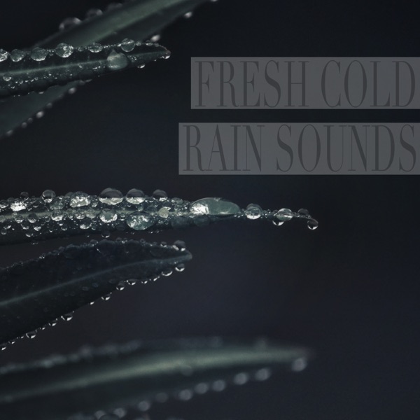 Fresh Cold Rain Sounds album cover