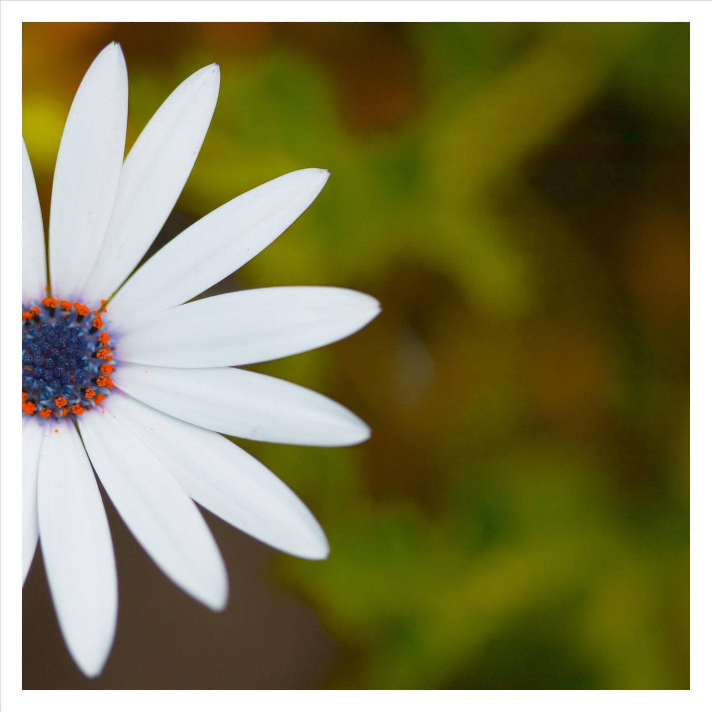 Pastel Memory - Single album cover