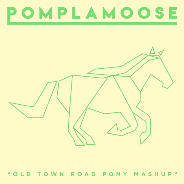 Old Town Road Pony Mashup - Single album cover