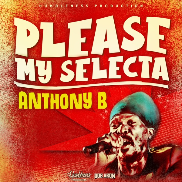 Please My Selecta - Single album cover