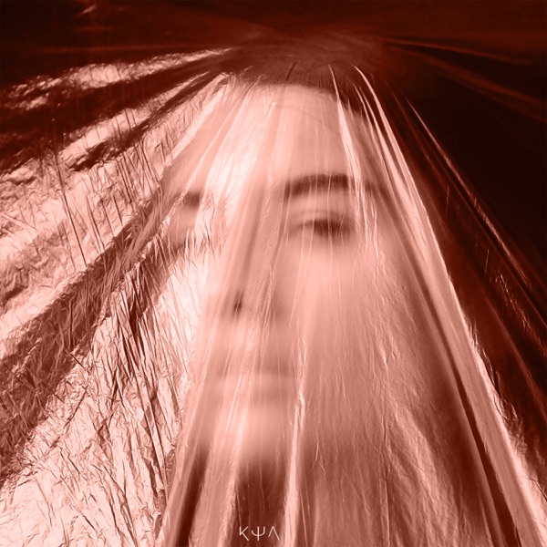 I Won't Cry - Single album cover