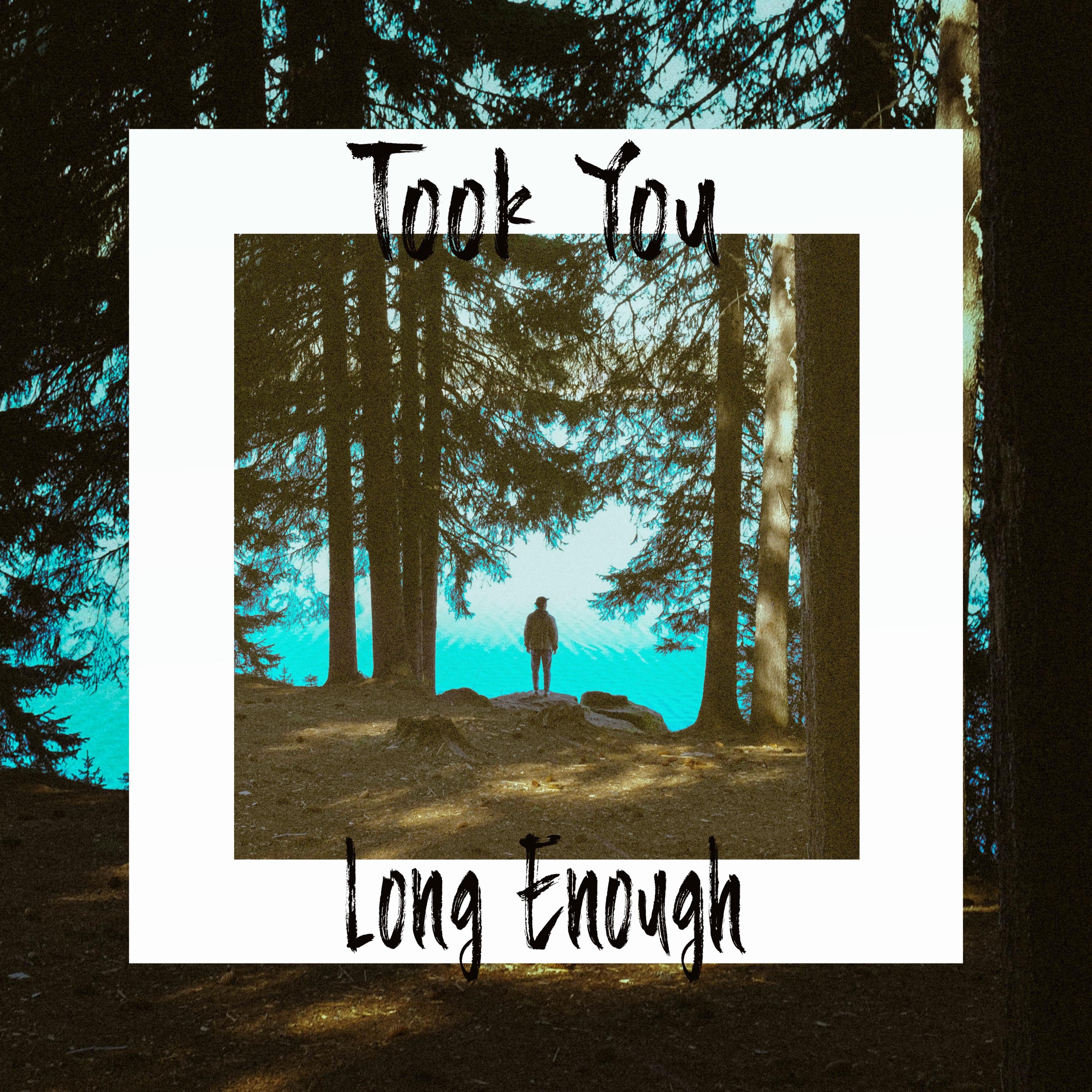 Took You Long Enough - EP album cover