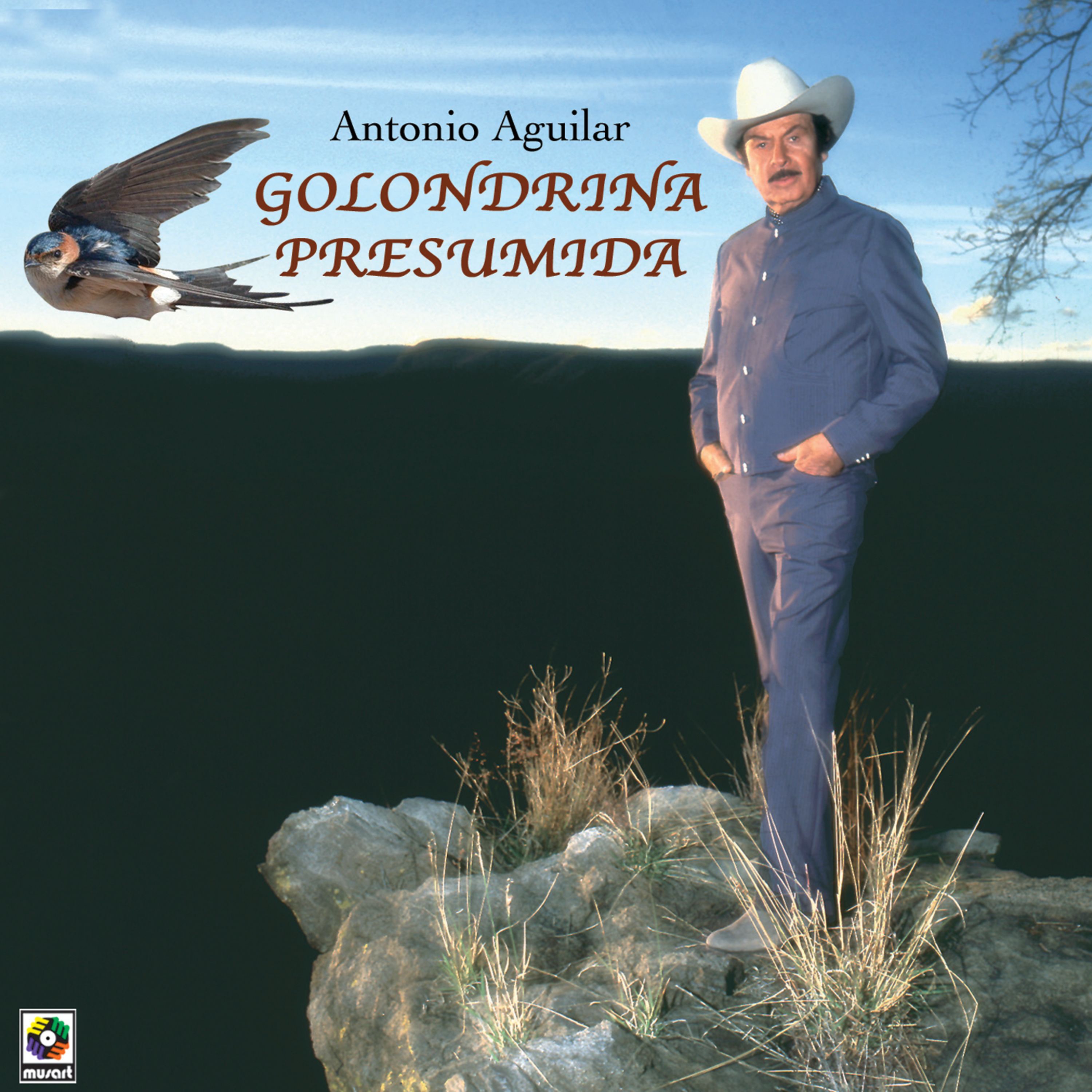 Golondrina Presumida album cover