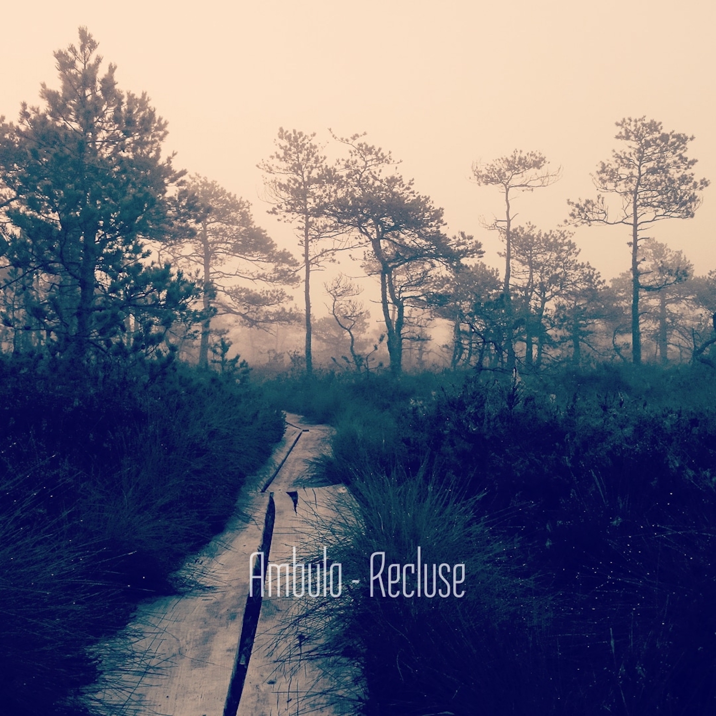 Recluse - Single album cover