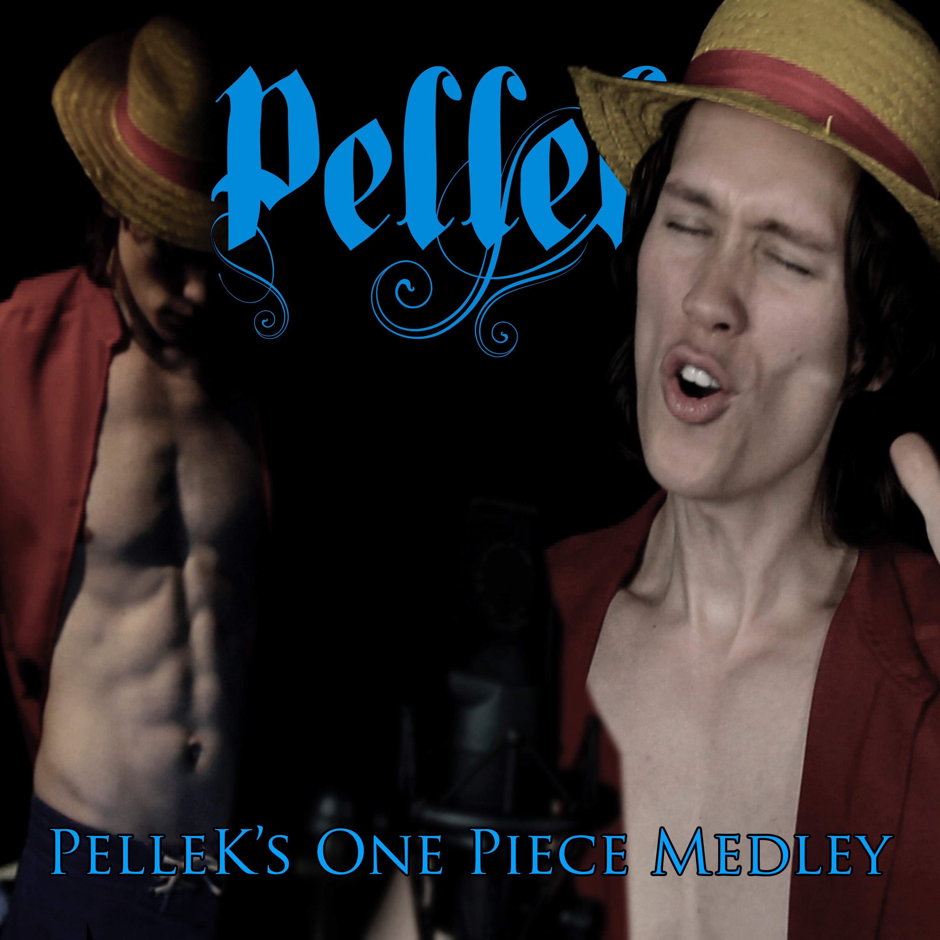 PelleK's One Piece Medley album cover