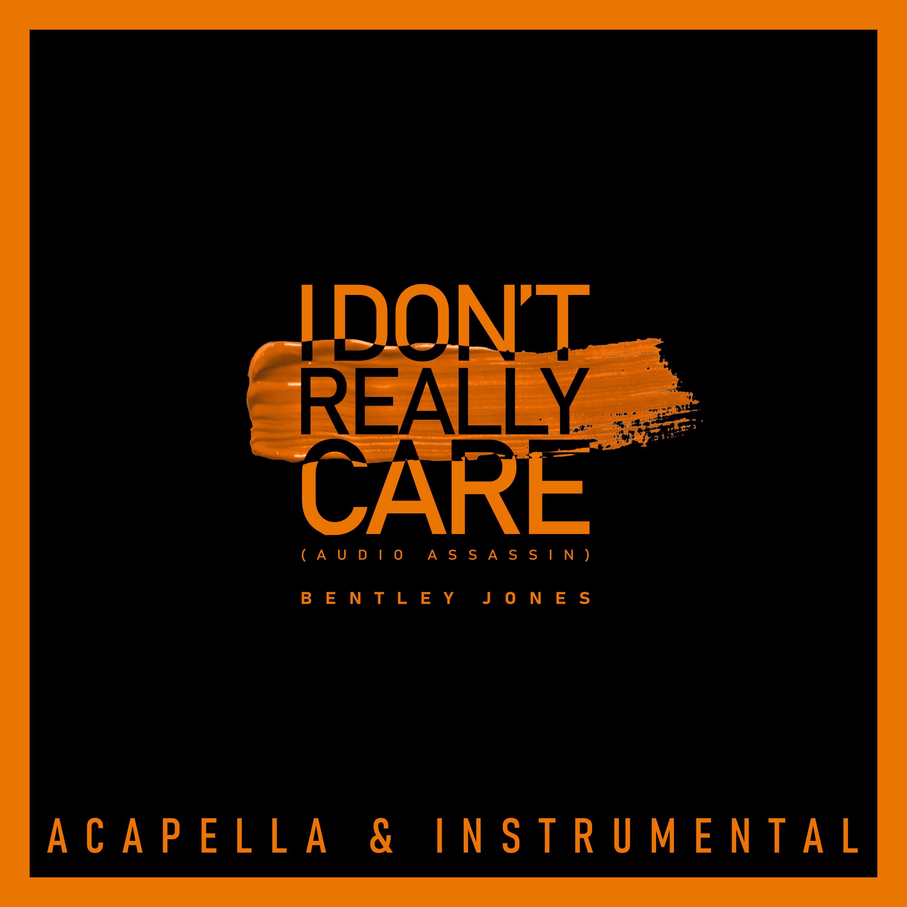 I Don't Really Care (Audio Assassin) [Acapella & Instrumental] - Single album cover