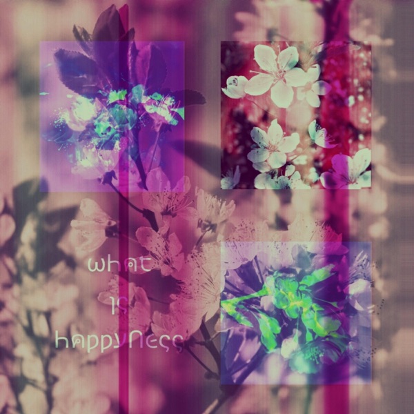 What Is Happyness (feat. Levi.Sct) - Single album cover