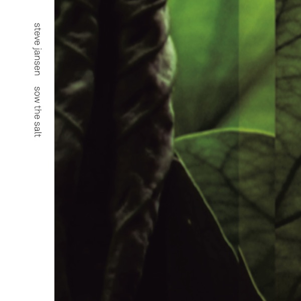 Sow the Salt (Live) [feat. Thomas Feiner] - Single album cover