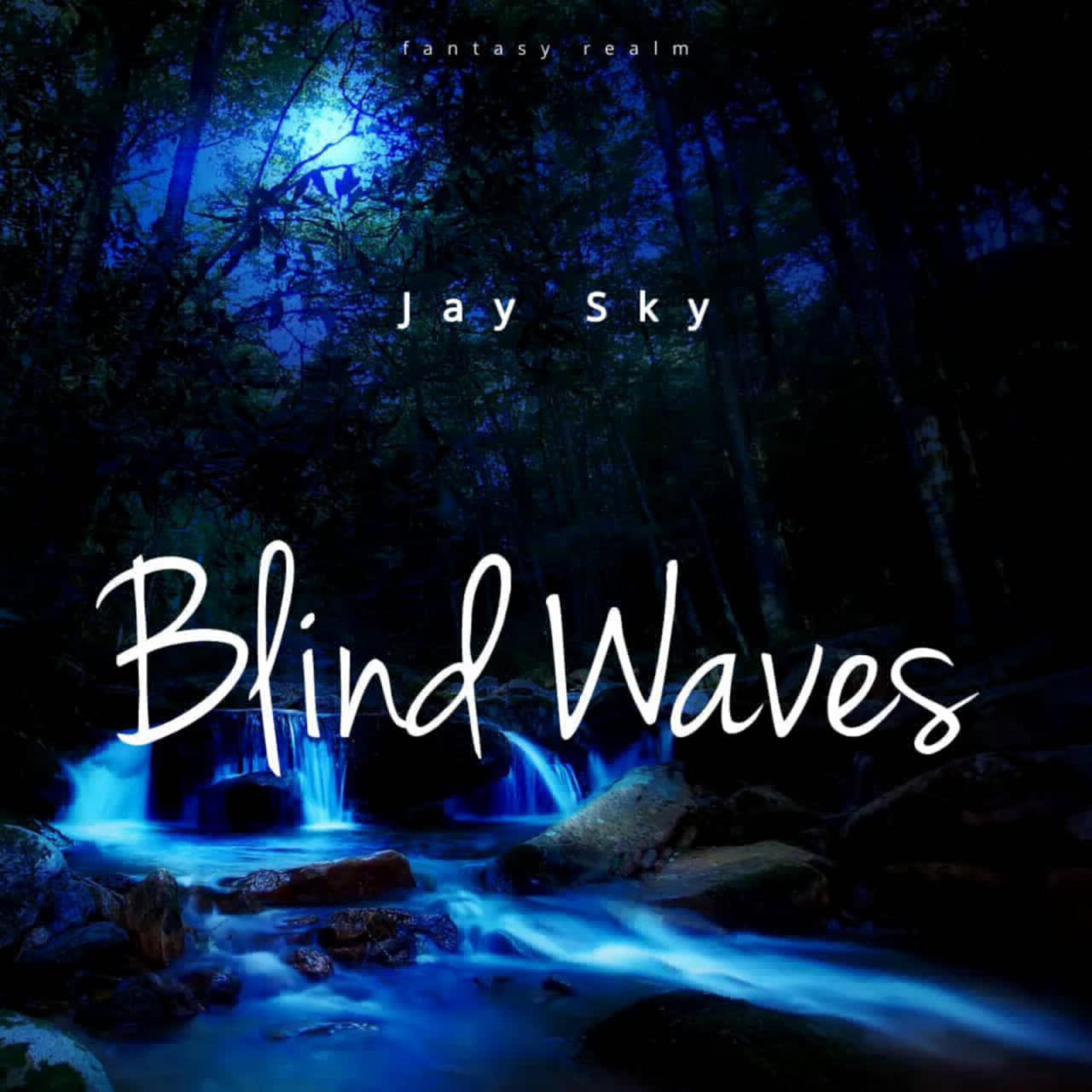 Blind Waves (feat. Feki & Pluko) - Single album cover