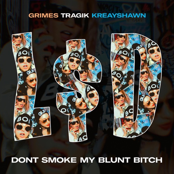 L$D (Don't Smoke My Blunt Bitch) [feat. Grimes & Kreayshawn] - Single album cover