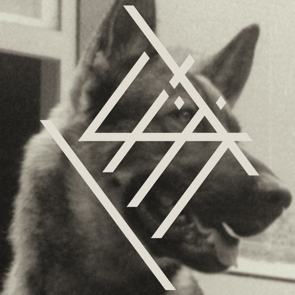 Everyday - Single album cover